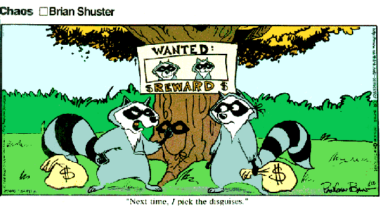 Racoons with masks